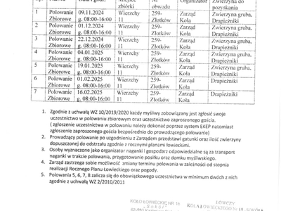 SOKÓŁ