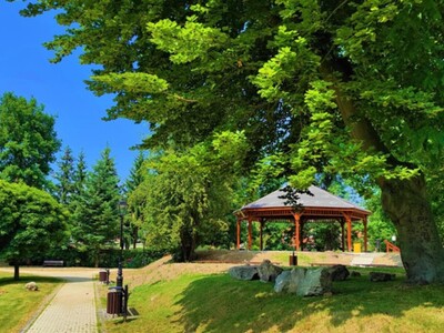 Park Miejski 