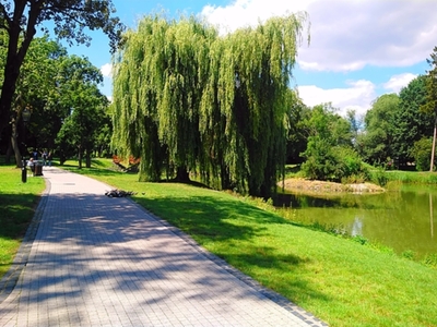Park Miejski staw
