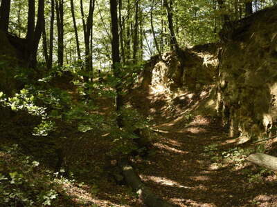 Jaskinie w Płóczkach Dolnych