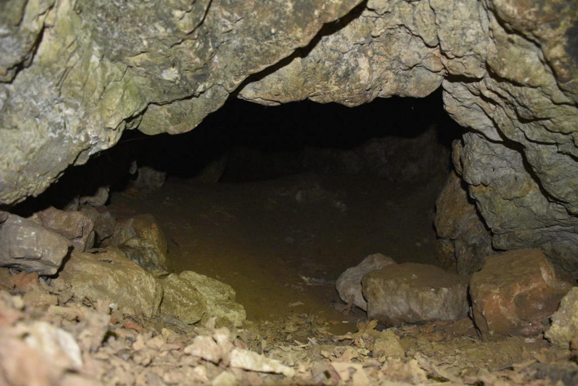Jaskinie w Płóczkach Dolnych