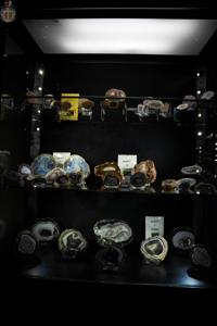 XXV LLA GIEŁDA MINERAŁÓW