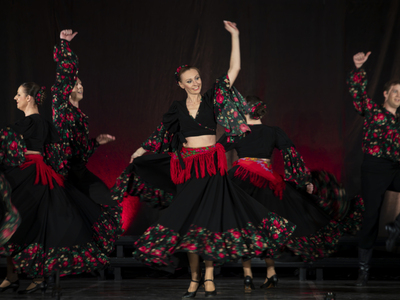 Koncert Noworoczny w Lwówku Śląskim, fot.25