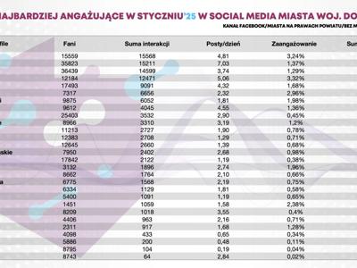 Analiza stron miast województwa dolnośląskiego wg Local Some