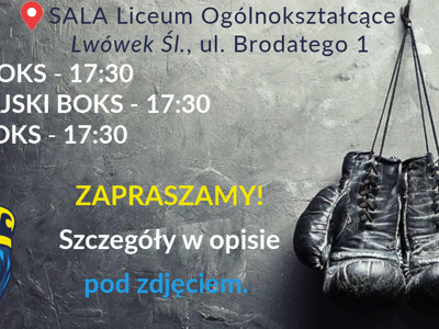 Zajęcia bokserskie w Lwówku Śl.