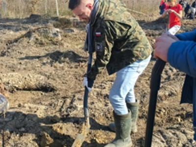 Burmistrz Dawid Kobiałka i Radny Jarosław Działa sadzą las w Leśnictwie Bielanka