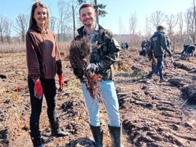 Burmistrz Dawid Kobiałka i Radny Jarosław Działa sadzą las w Leśnictwie Bielanka