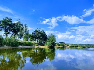 Jezioro Rakowickie latem 2023 r., fot. Marcin Korol