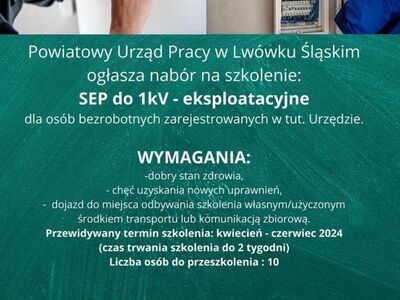 Powiatowy Urząd Pracy w Lwówku Śląskim ogłasza nabór na szkolenie: SEP do 1kV - eksploatacyjne.