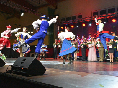 Koncert Noworoczny w Lwówku Śląskim. Reprezentacyjny Zespół Artystyczny Wojska Polskiego, fot. 21