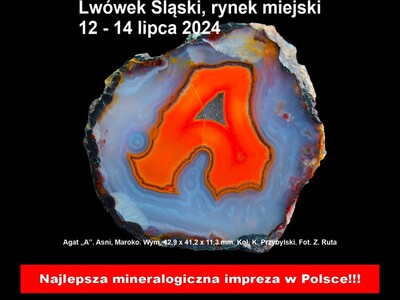 Plakat XXV Lwóweckie Lato Agatowe
