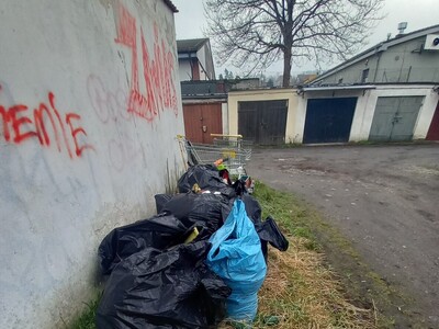z działań Straży Miejskiej