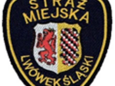 z działań Straży Miejskiej
