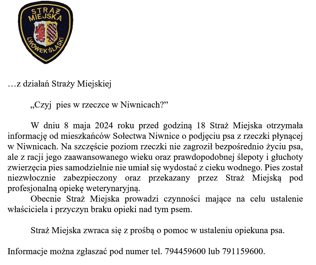 …z działań Straży Miejskiej