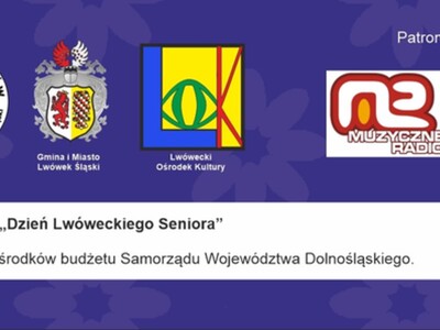 Organizatorzy, patronat i źródło finansowania DLS