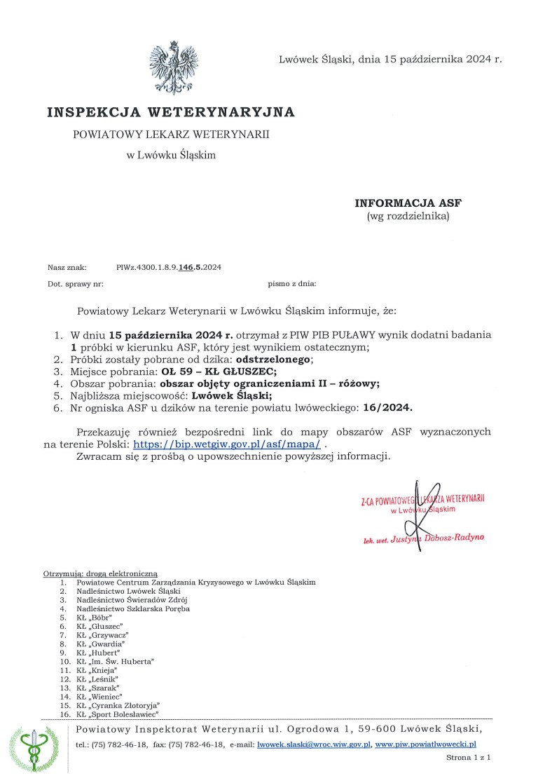 informacja ASF - ognisko u dzika odstrzelonego