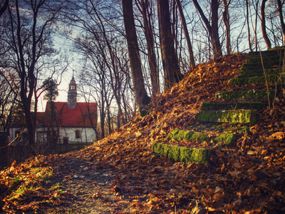 Zamek Wleń