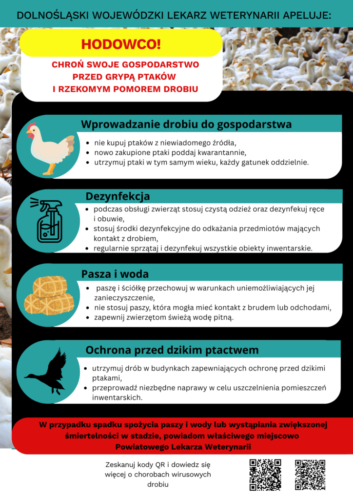 grypa_ptakow_ulotka.png [724x1024]
