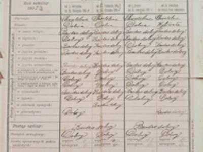 Świadectwo ucznia Sylwestra Wojdanowskiego z roku szkolnego 1903/04