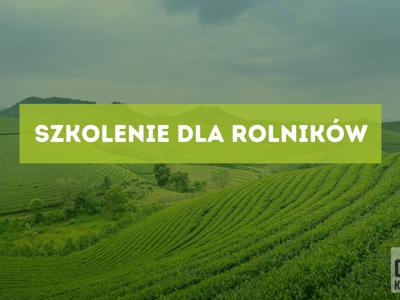 Szkolenie-grafika