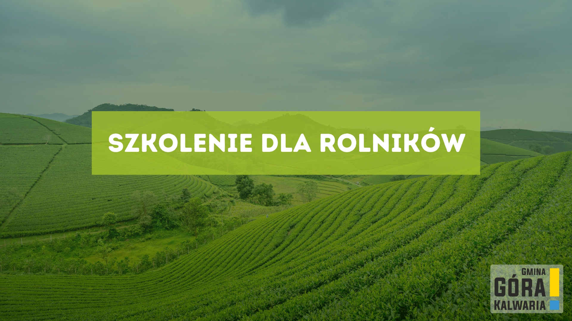Szkolenie-grafika