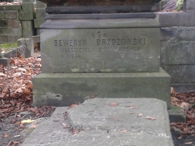 Grób rodziny Brzozowskich na Cmentarzu Powązkowskim fot. J. Bielicki