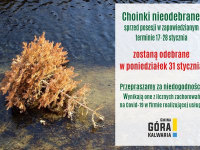 Odbiór choinek - do 31 stycznia