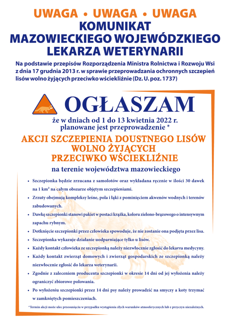 Szczepienia lisów przeciwko wściekliźnie
