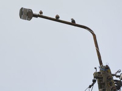 Modernizacja oświetlenia ulicznego zrealizowana w Brześcach