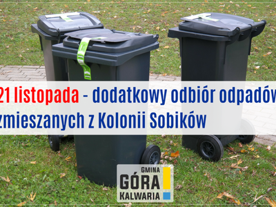 Dodatkowy termin odbioru odpadów z Kolonii Sobików
