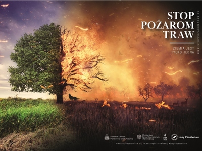 Akcja "Stop pożarom traw"
