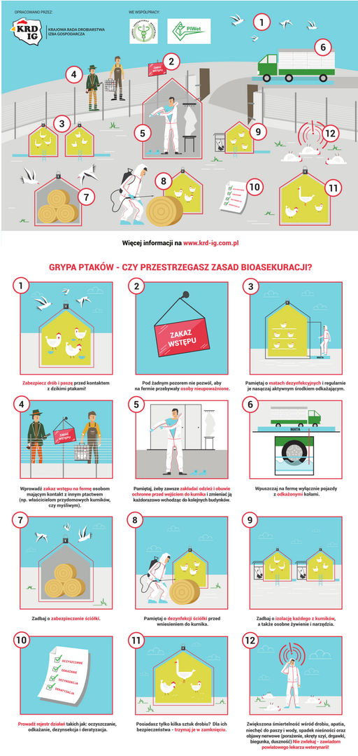 Grypa ptaków - czy stosujesz zasady bioasekuracji