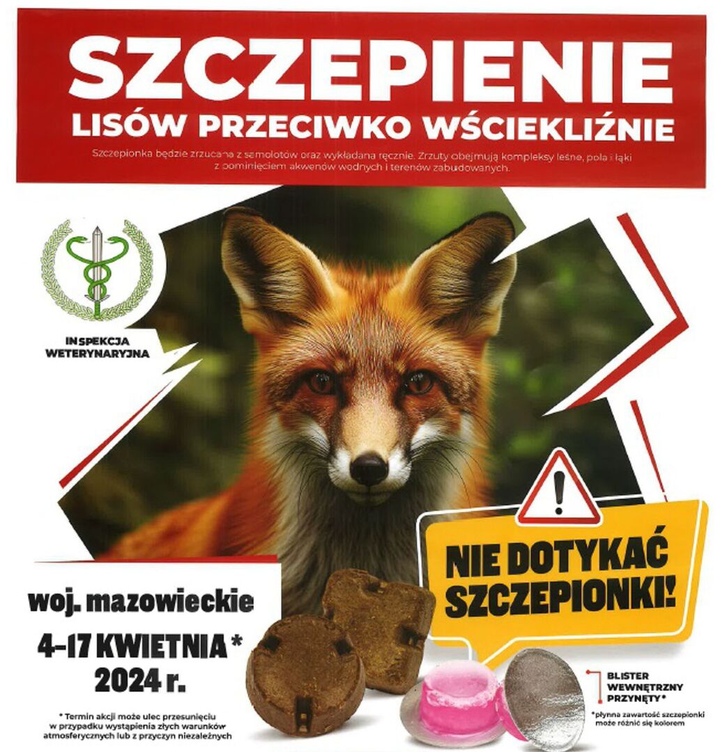 Chrońcie siebie i swoje zwierzęta przed szczepionkami dla lisów
