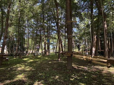 Linolandia Dąbki