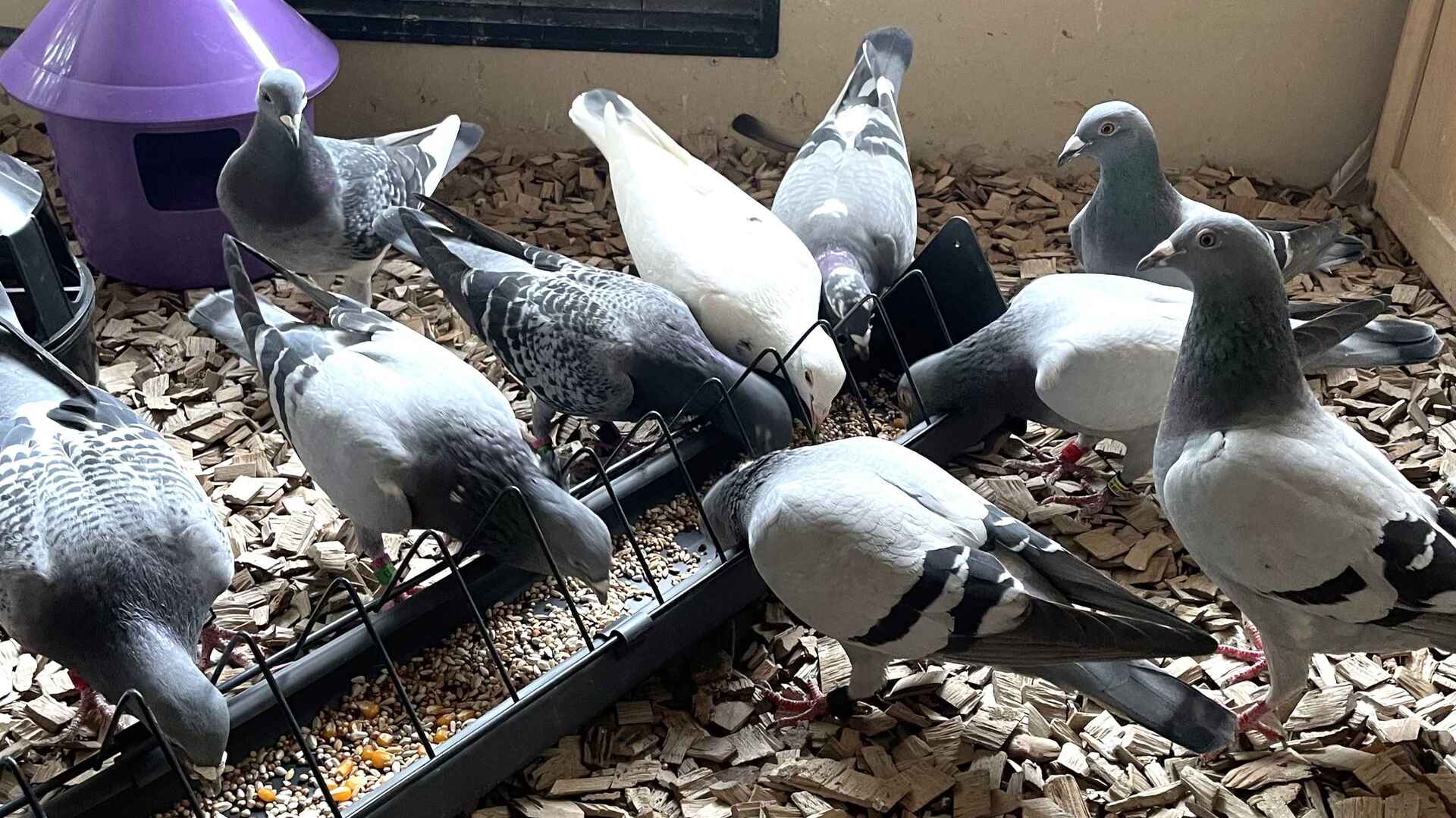 Zdjęcie do artykułu