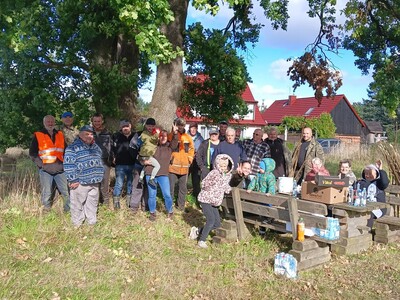Wycinka krzaków w Jeżycach