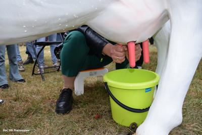 Piknik Rodzinny w Nacpolsku (23.08.2025 r.)