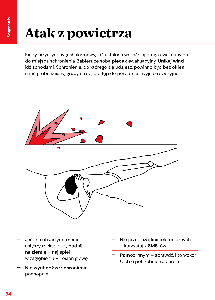 Poradnik bezpieczeństwa
