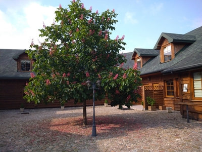 Highland Conference Hotel