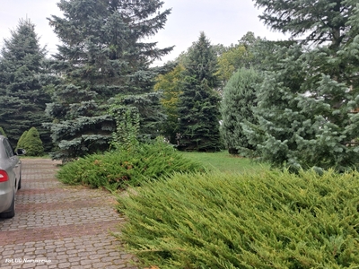 Ośrodek Zdrowia w Nacpolsku
