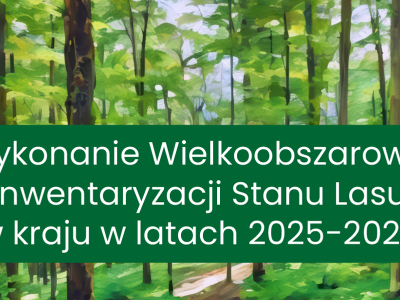 Wielkoobszarowa Inwentaryzacja Stanu Lasu w kraju w latach 2025–2029
