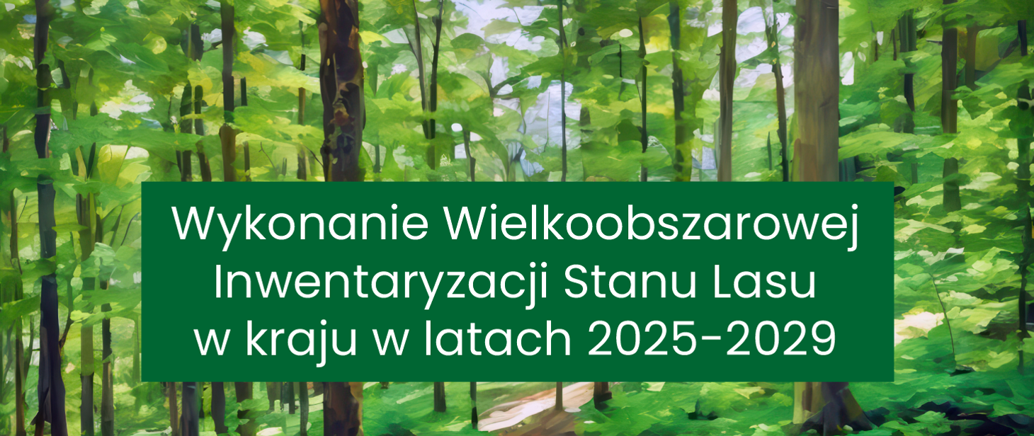 Wielkoobszarowa Inwentaryzacja Stanu Lasu w kraju w latach 2025–2029