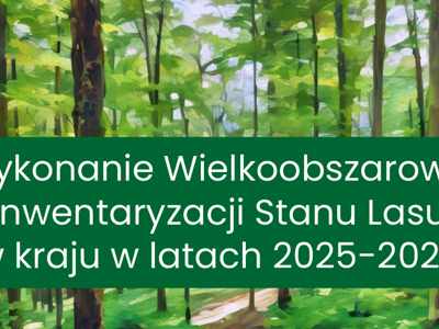 Wielkoobszarowa Inwentaryzacja Stanu Lasu w kraju w latach 2025–2029