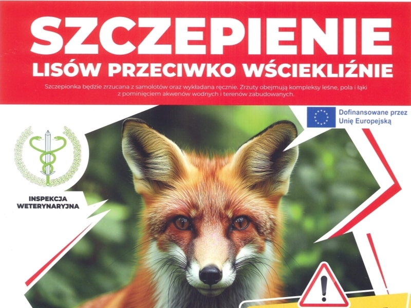 Szczepienie_lisy_info