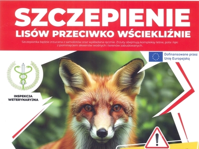 Szczepienie_lisy_info