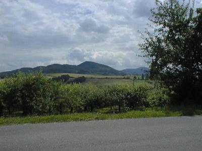 Gmina Raciechowice