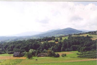 Gmina Raciechowice