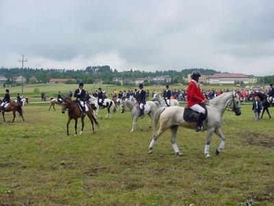 Gmina Raciechowice