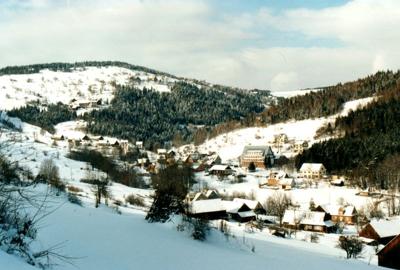 Gmina Tokarnia