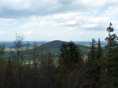 Gmina Wiśniowa
